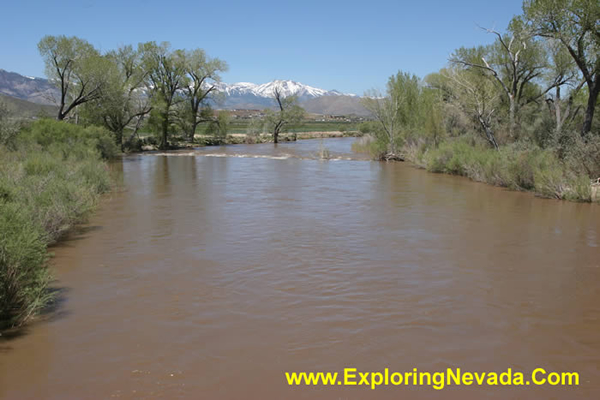 The Carson River Running High and Muddy