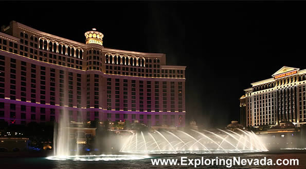 The Bellagio Hotel & Casino in Las Vegas : Photo #7