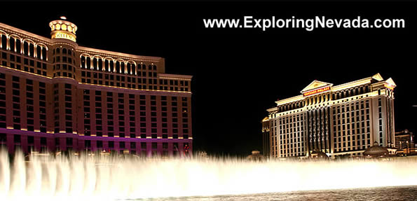 The Bellagio Hotel & Casino in Las Vegas : Photo #11