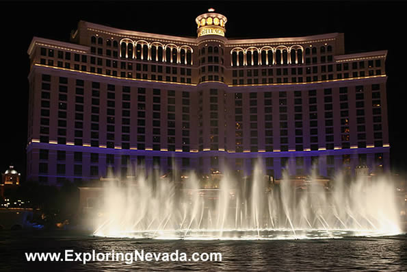 The Bellagio Hotel & Casino in Las Vegas : Photo #18