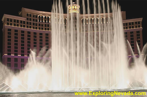 The Bellagio Hotel & Casino in Las Vegas : Photo #13