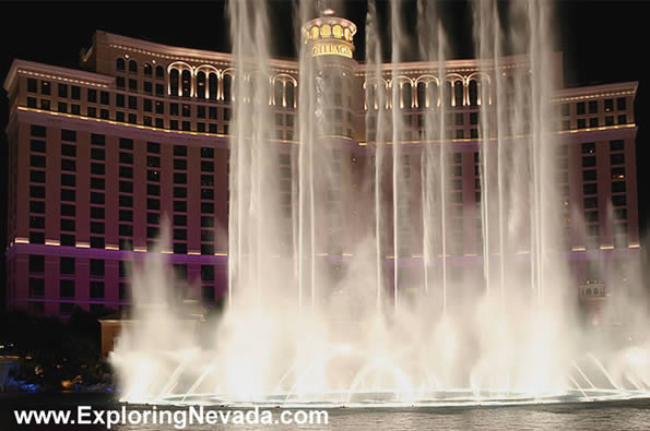 The Bellagio Hotel & Casino in Las Vegas : Photo #8