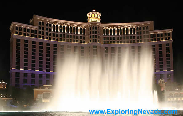 The Bellagio Hotel & Casino in Las Vegas : Photo #9