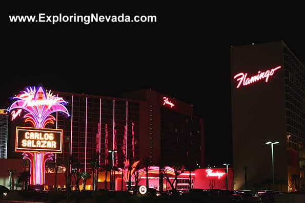 Front of the Flamingo Hotel and Casino in Laughlin