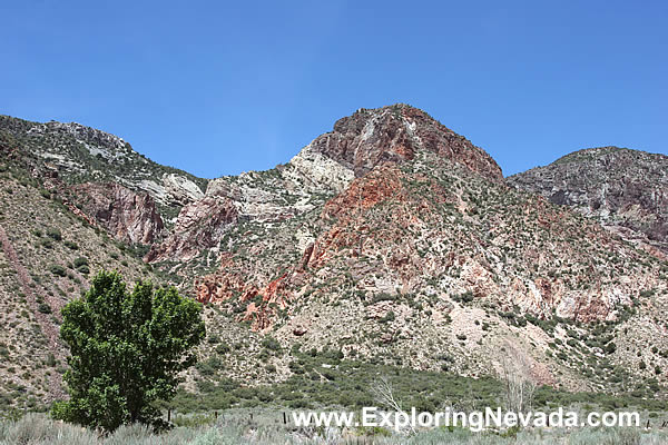 Red Rock Seen in Rainbow Canyon