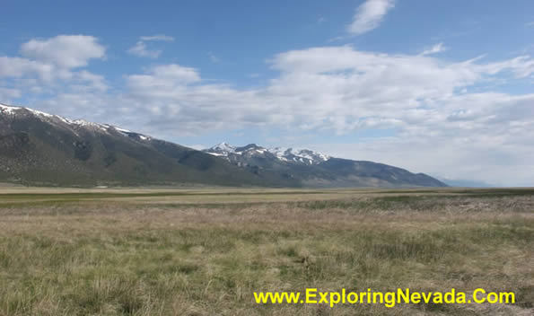 Grasslands & Mountains in the Ruby Valley