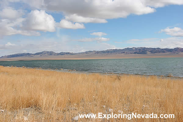 Walker Lake in Nevada : Photo #3