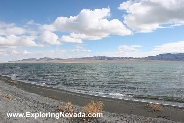 Walker Lake in Nevada : Photo #4