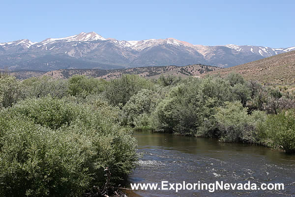 The East Walker River in Nevada, Photo #4