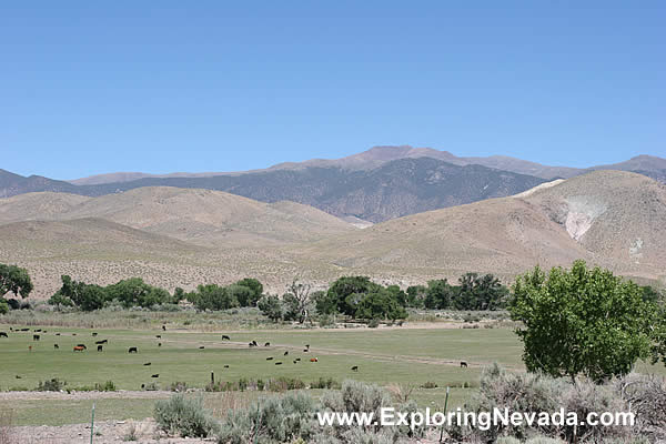 Agricultural Lands South of Yerington