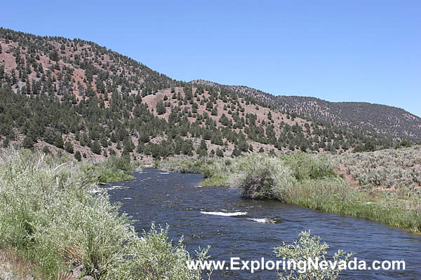The East Walker River in Nevada