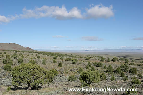 Expansive Views on the Angel Lake Scenic Drive