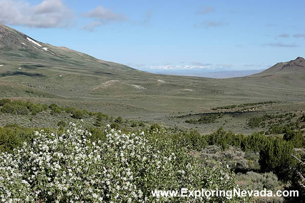 Looking Toward the Jarbidge Mountains