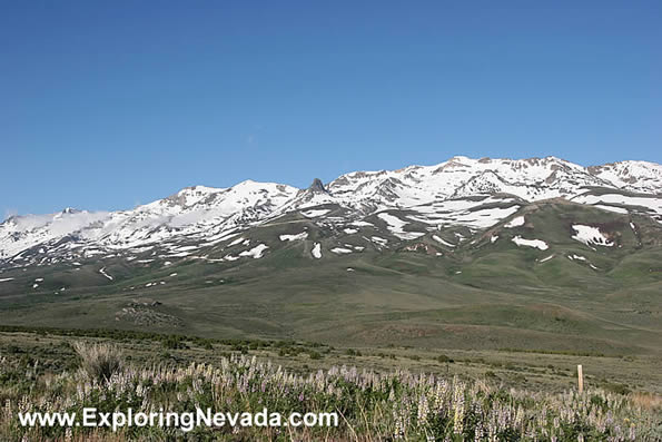 The Humboldt Mountains