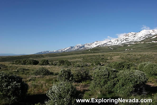 Vast Views on the Angel Lake Scenic Drive