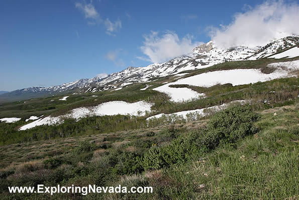 Snowy Flanks of the Humboldt Mountains