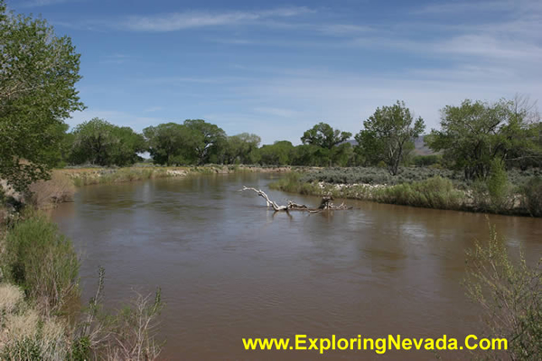 The Carson River Near Buckland Station