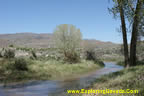 Carson River Flowing Through Ambrose Natural Area