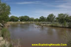 The Carson River Near Buckland Station