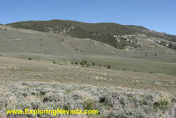 High Country Plateau in the Schell Creek Range