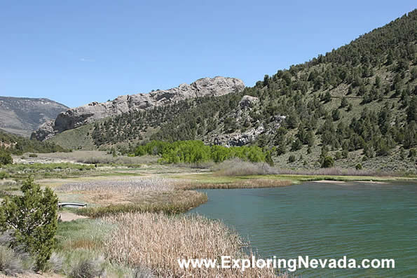 Swampy Area Around Cave Lake