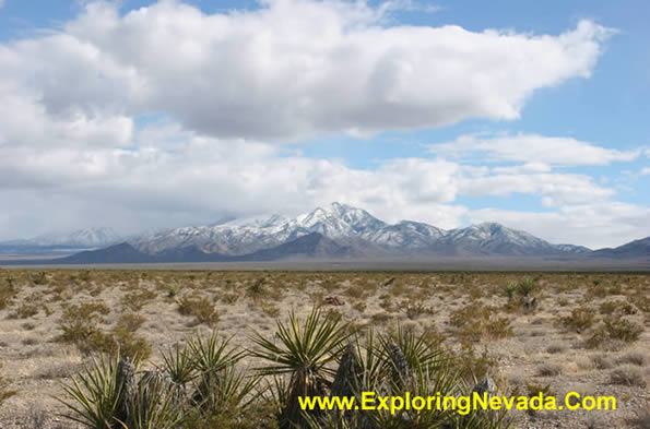 The Spring Mountains During Winter