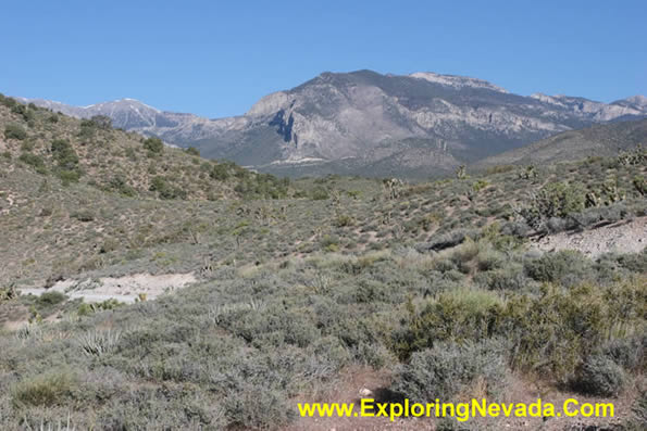 Lower Elevations of the Spring Mountains Scenic Drive
