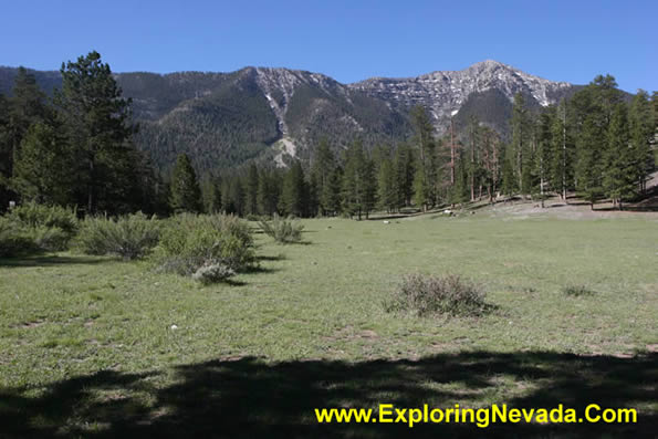 Photographs of the Spring Mountains Scenic Drive in Nevada - Lee Meadows in  the Spring Mountains