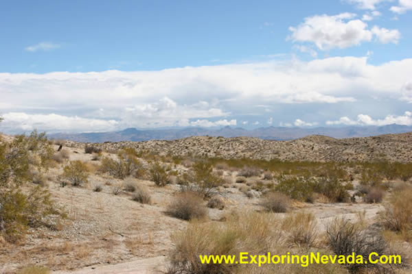 The View Into Arizona