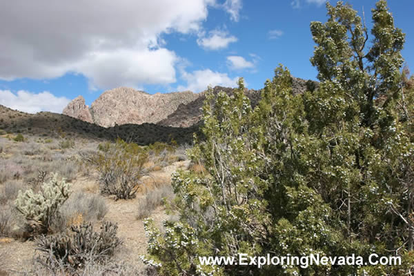 Wilderness in the Lake Mead Recreation Area