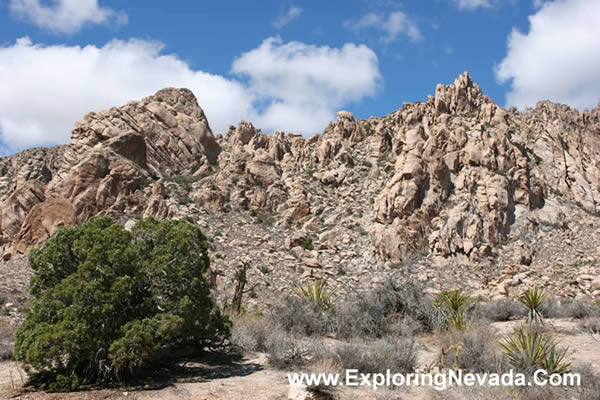 Jagged and Rocky Peaks of the Newberry Mountains