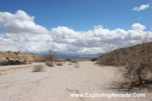 Sandy Wash Seen on the Christmas Tree Pass Road