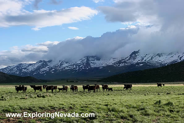 The Humboldt Mountains in the Clover Valley