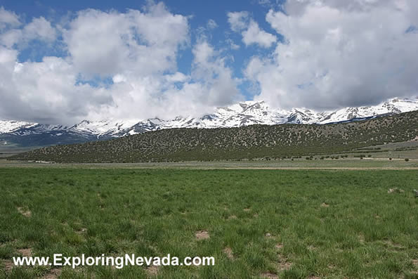 Green Grass of the Clover Valley