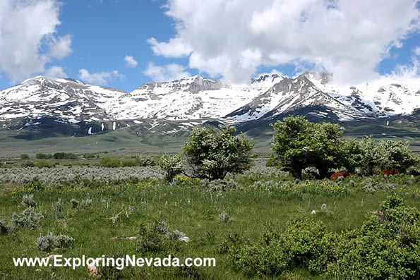 Snowy Peaks of the Humboldt Mountains