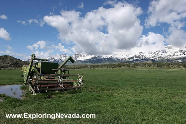 Agriculture in the Clover Valley