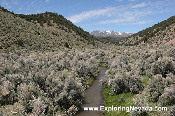 Seasonal Stream in the Desatoya Mountains