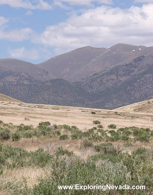 The Desatoya Mountains of Central Nevada