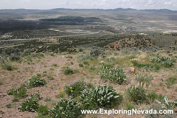 Looking Down on Elko