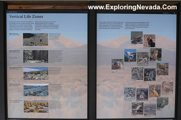 Vertical Life Zones of Great Basin National Park