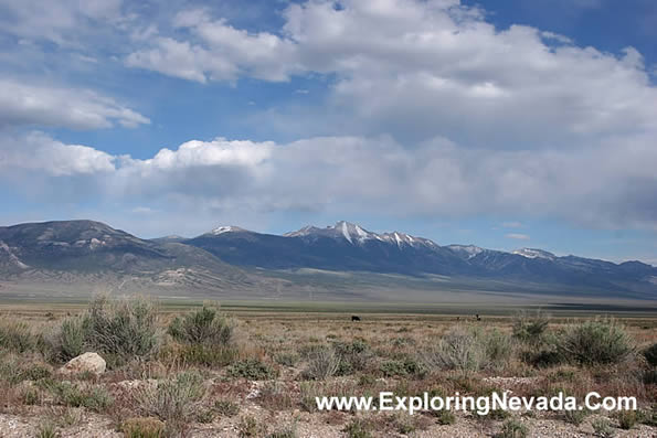 The Spring Valley and the Snake Range Mountains