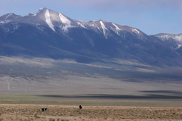 Wheeler Peak Seen From the Spring Valley, Photo #3