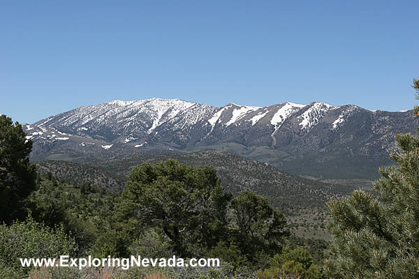 Mt. Hamilton and the White Pine Range