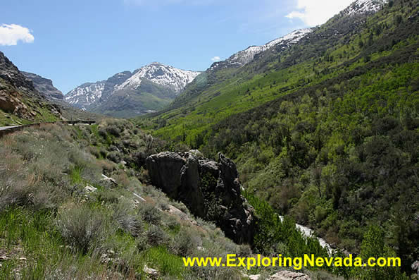 Lower Elevations of Lamoille Canyon