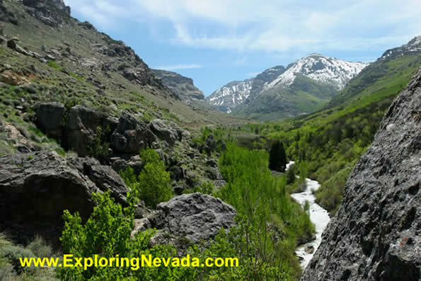 Photo of the Lamoille River in Lamoille Canyon