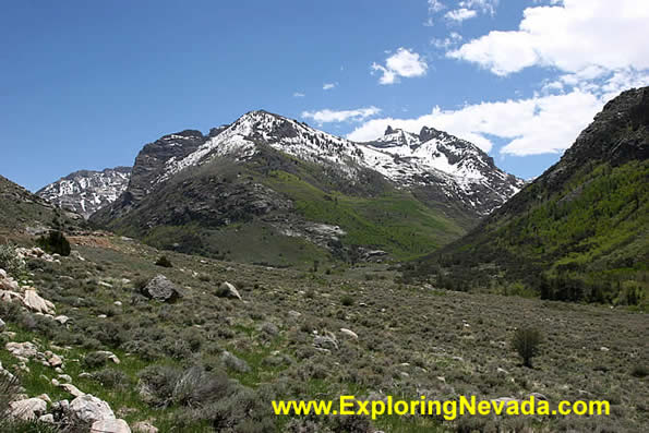 Higher Peaks of the Ruby Mountains