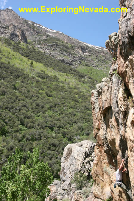 Rock Climbing in lamoille canyon