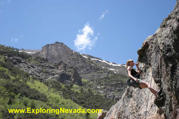 Rock Climbing in Lamoille Canyon