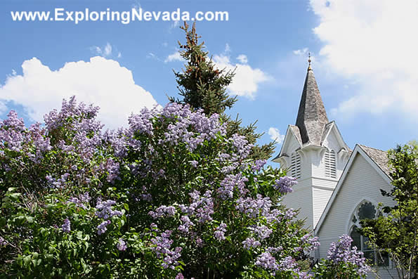 Purple Flowers and Church in Lamoille, Nevada