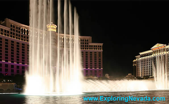 The Bellagio Hotel & Casino in Las Vegas : Photo #8